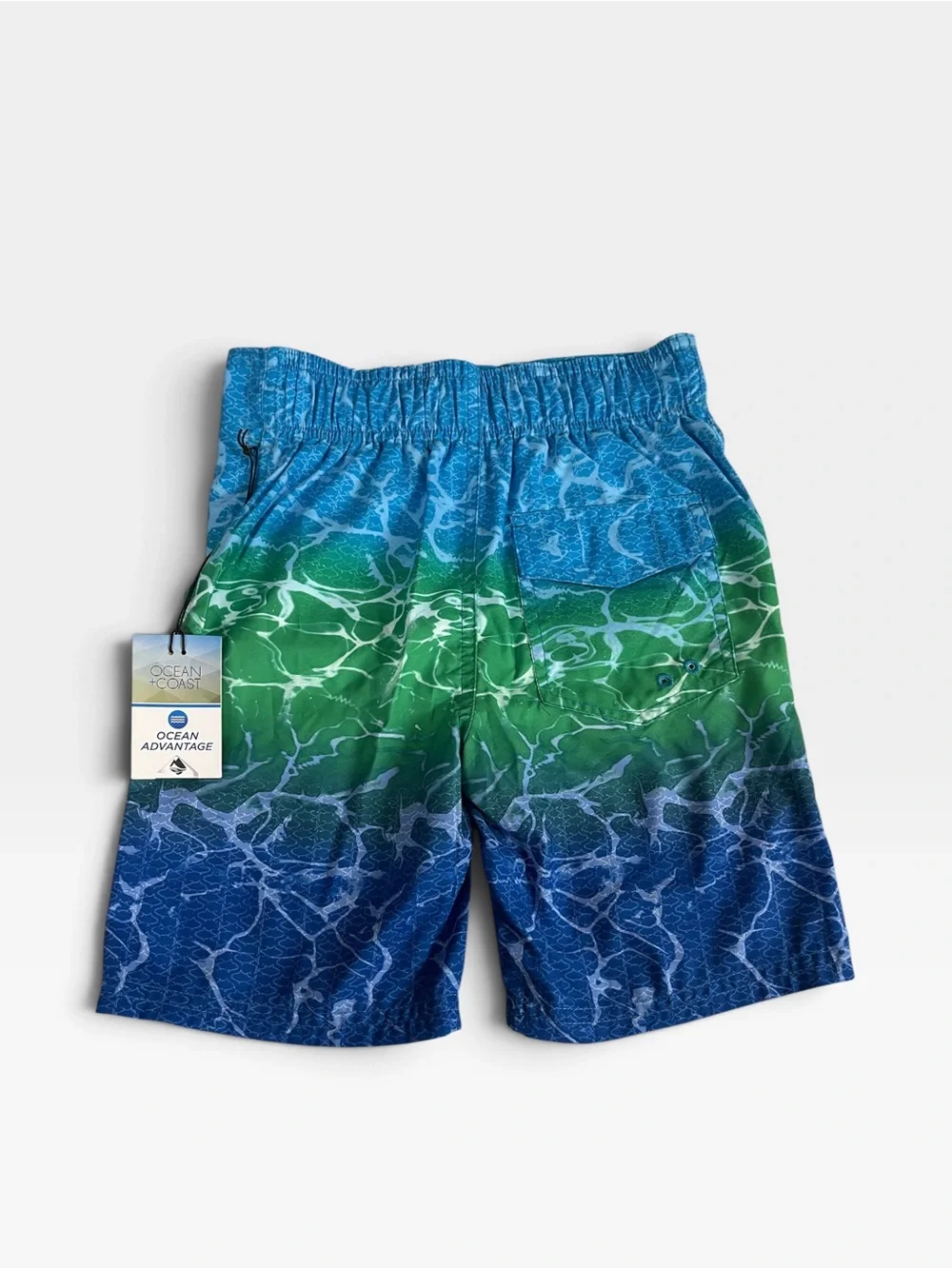 Ocean + Coast vibrant blue